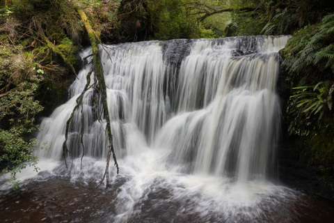 Waipohatu Waterfalls Track
