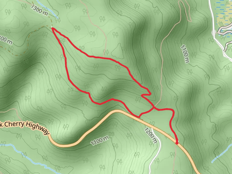 Kennison Mountain Trail and Frost Gap Loop
