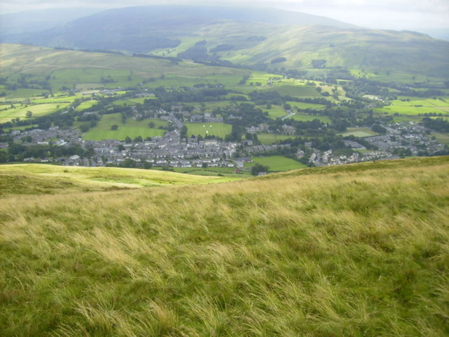 An image depicting the trail Winder and Nursey Wood Loop and its surrounding area.