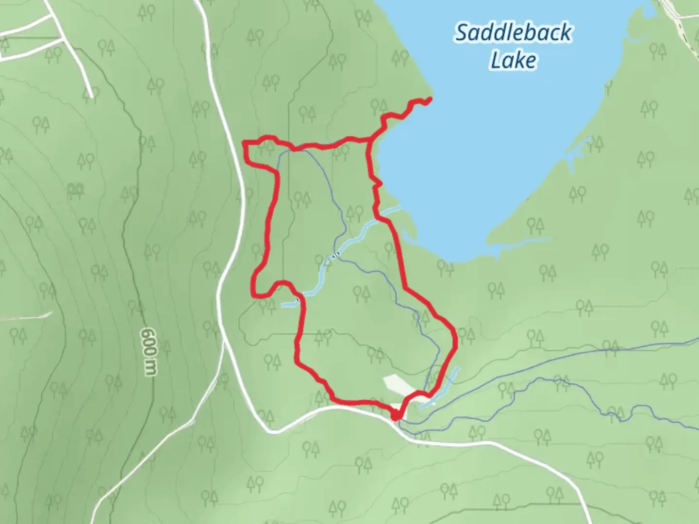 An image depicting the trail Saddleback Lake and South Branch Dead River Loop and its surrounding area.