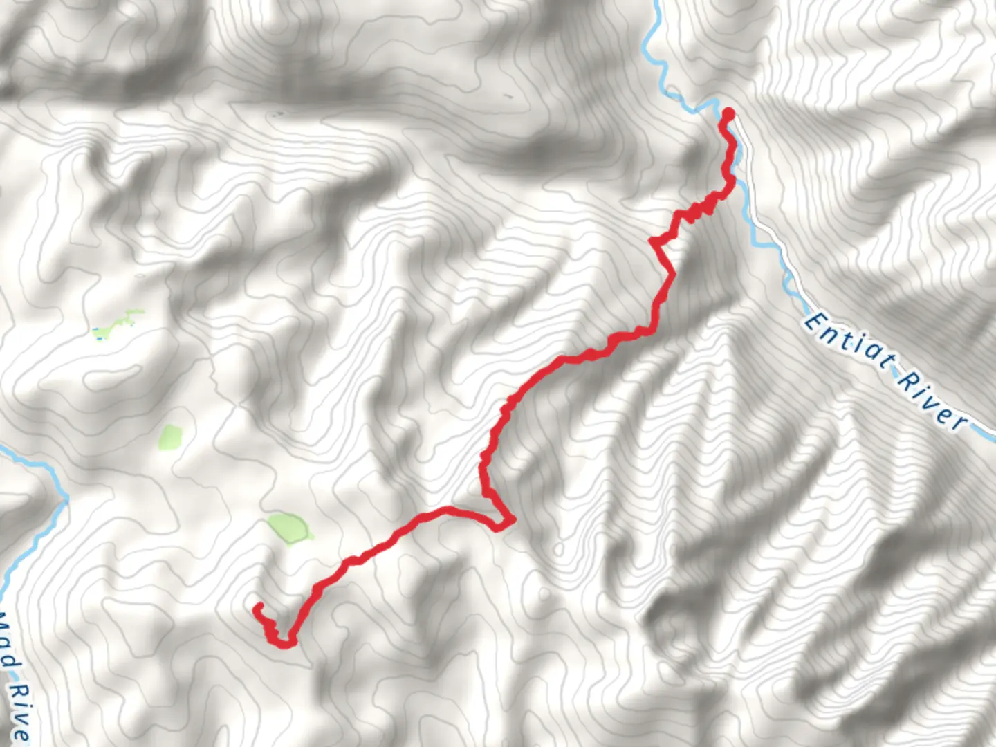 An image depicting the trail Cougar Mountain and Cougar Ridge Trail and its surrounding area.