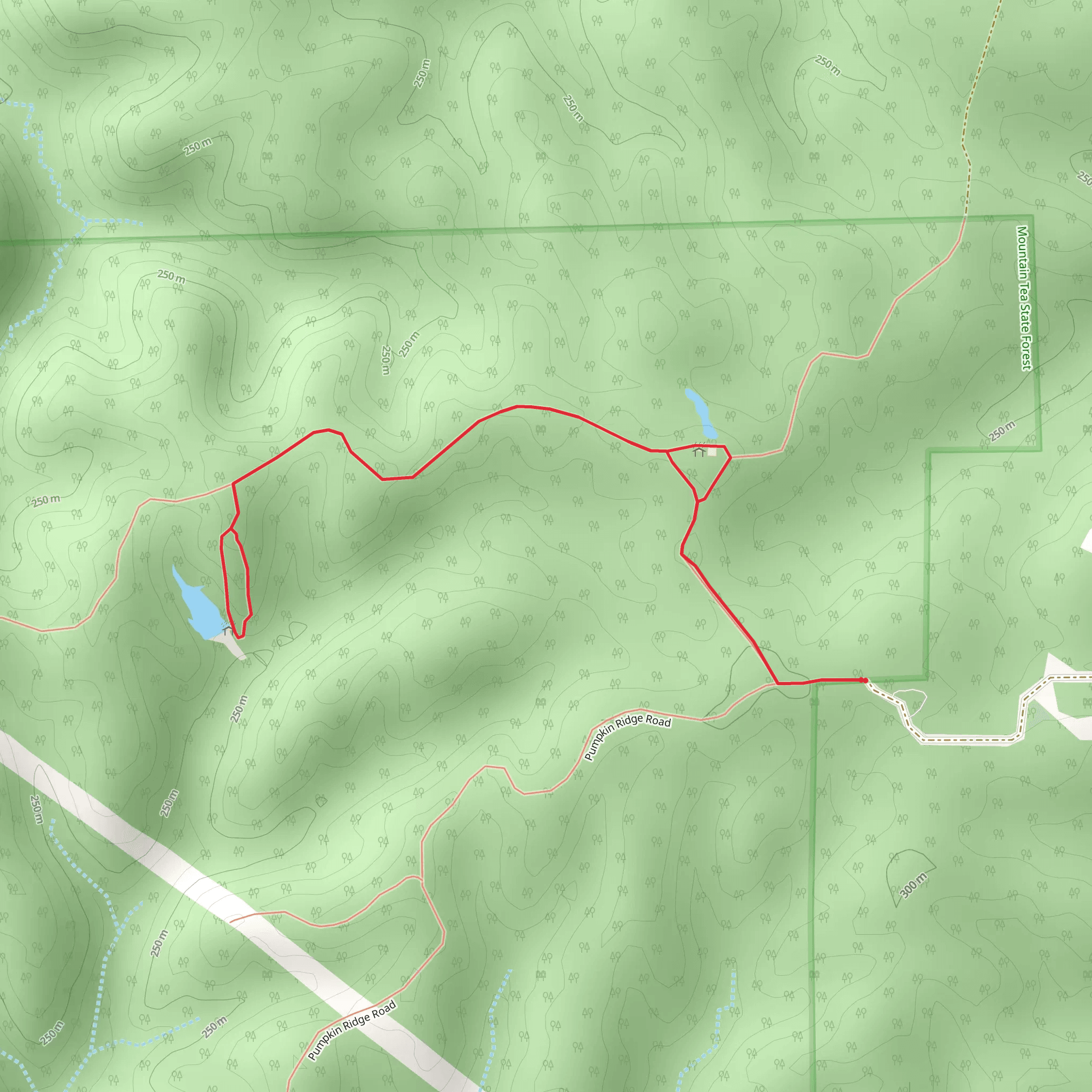 Tea Ridge Walk mobile static map