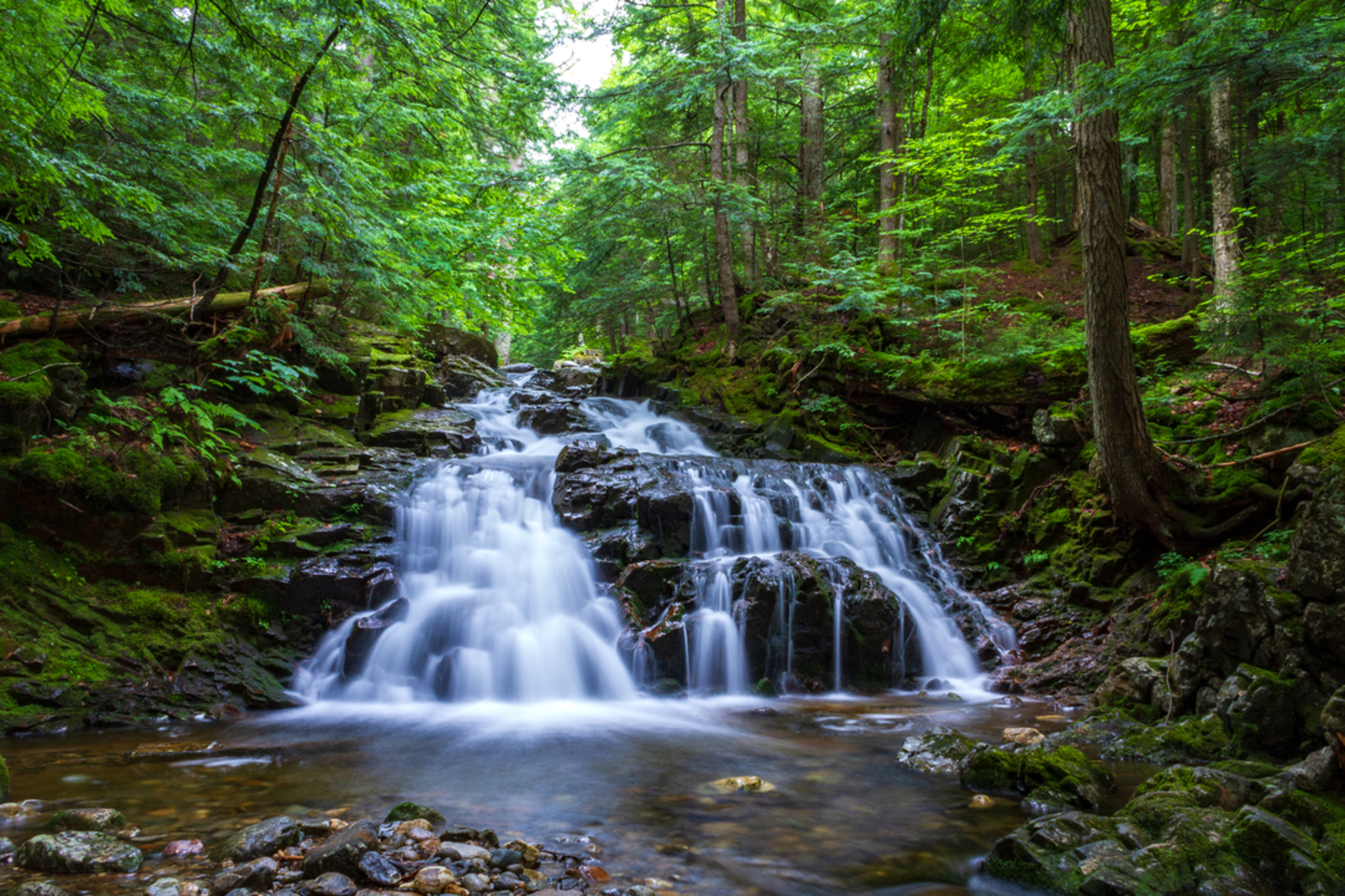 An image depicting the trail Brookbank Trail and its surrounding area.