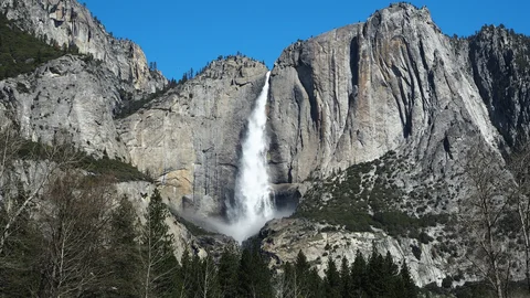 An image depicting the trail Tokopah Falls Trail and its surrounding area.