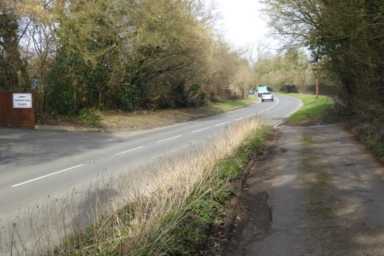 An image depicting the trail Great Mornshill Wood via Effingham Walk and its surrounding area.