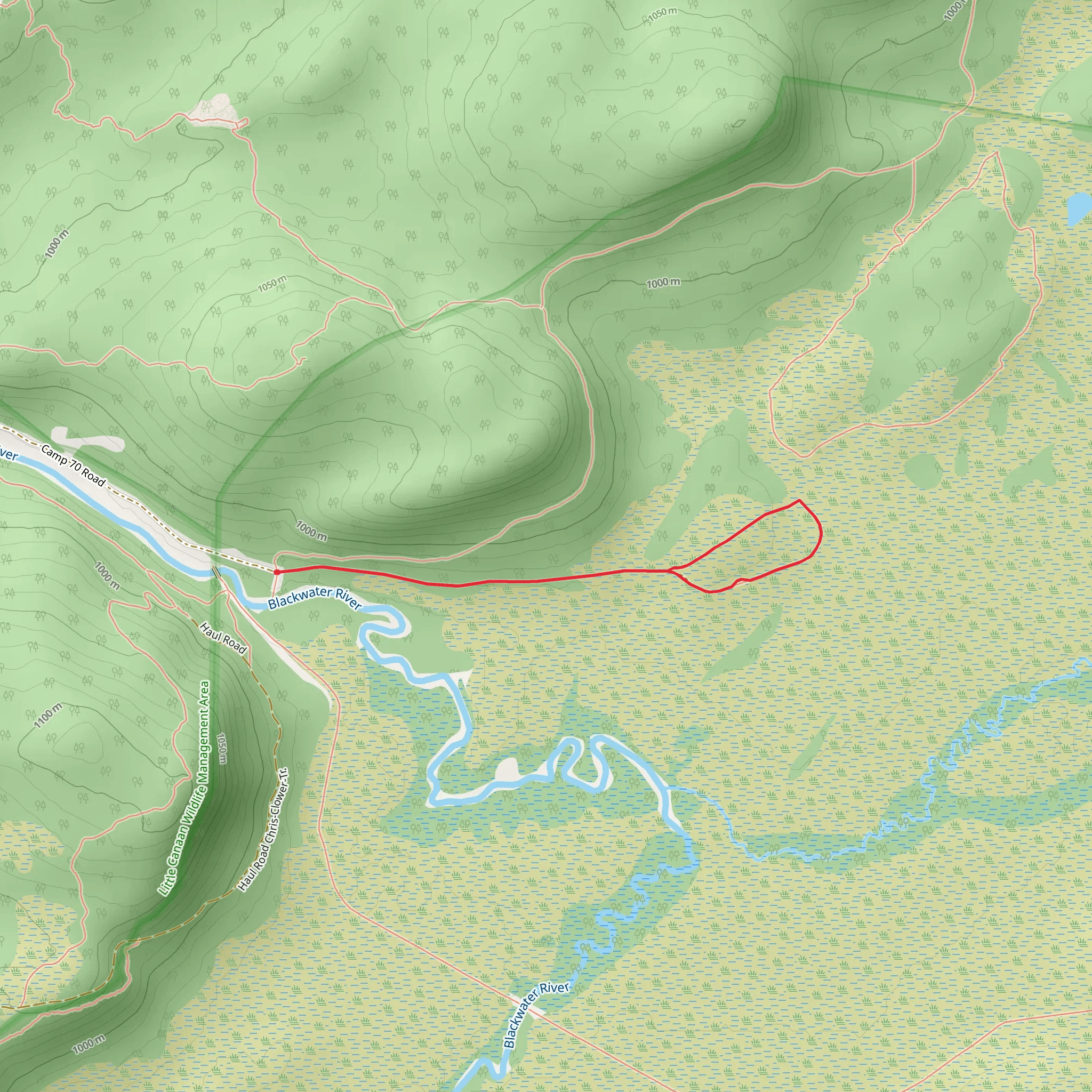 Babcock Lumber Loop mobile static map