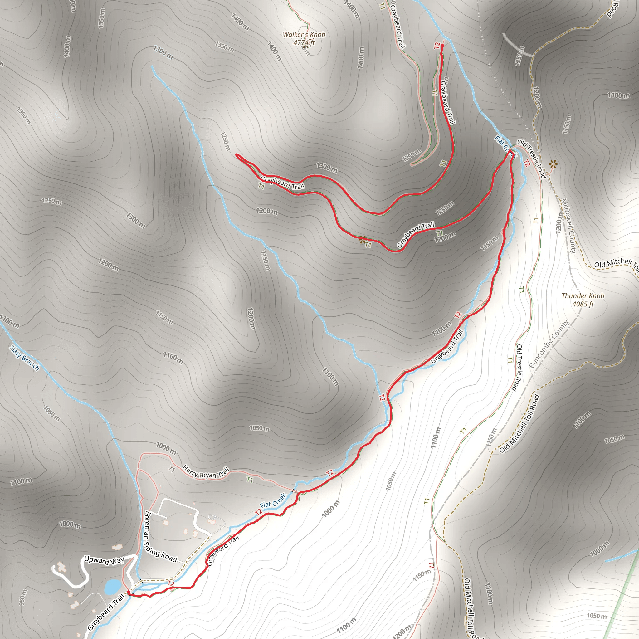 Flat Creek via Greybeard Trail mobile static map