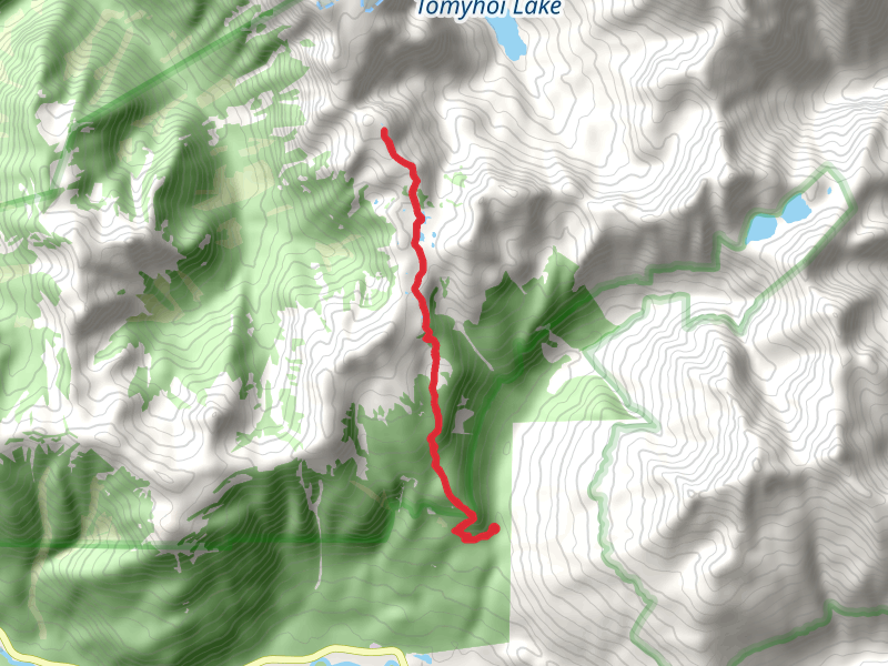 Tomyhoi Peak Trail - Short
