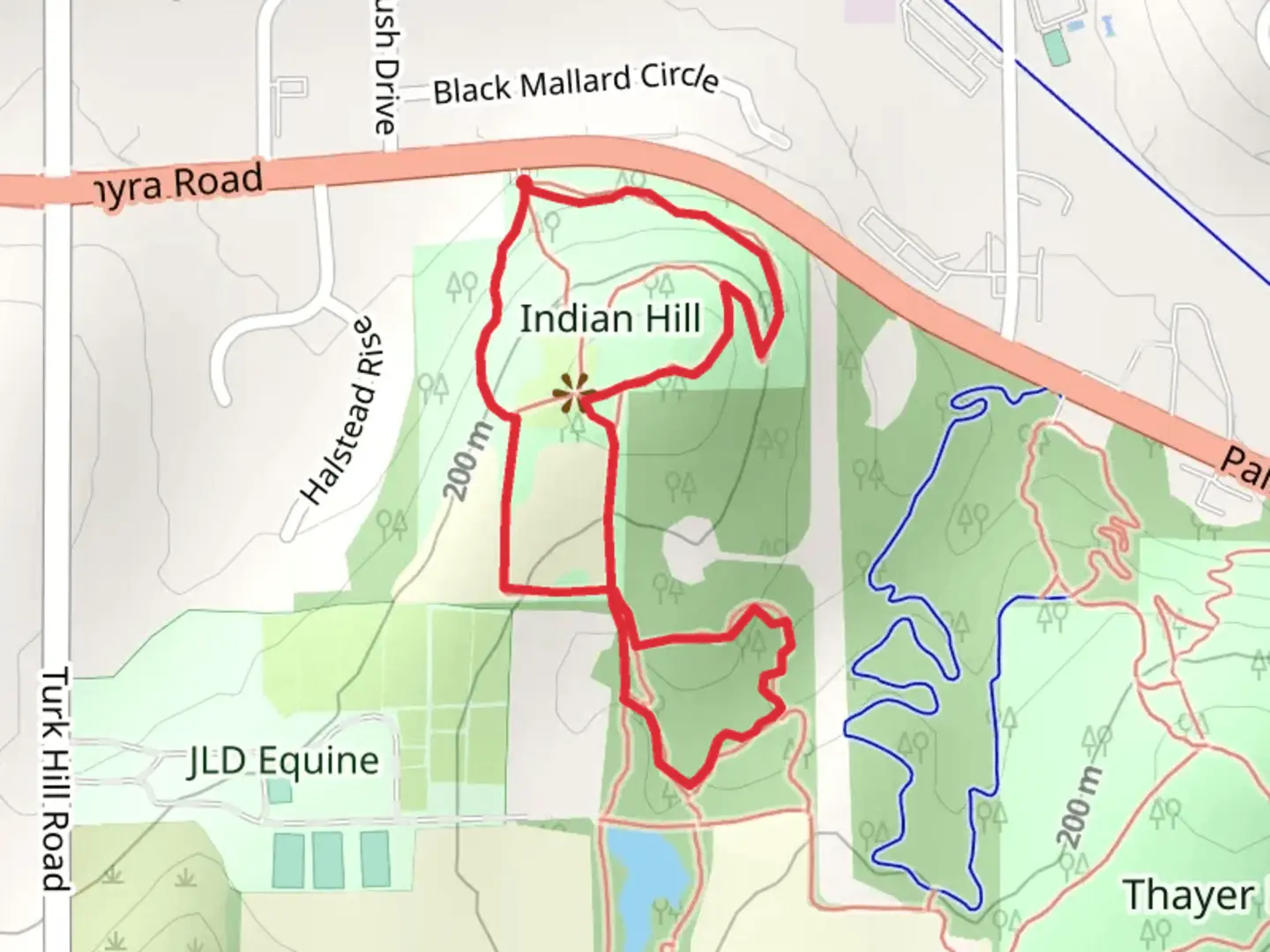 An image depicting the trail Pittsford Palmyra Road Loop and its surrounding area.