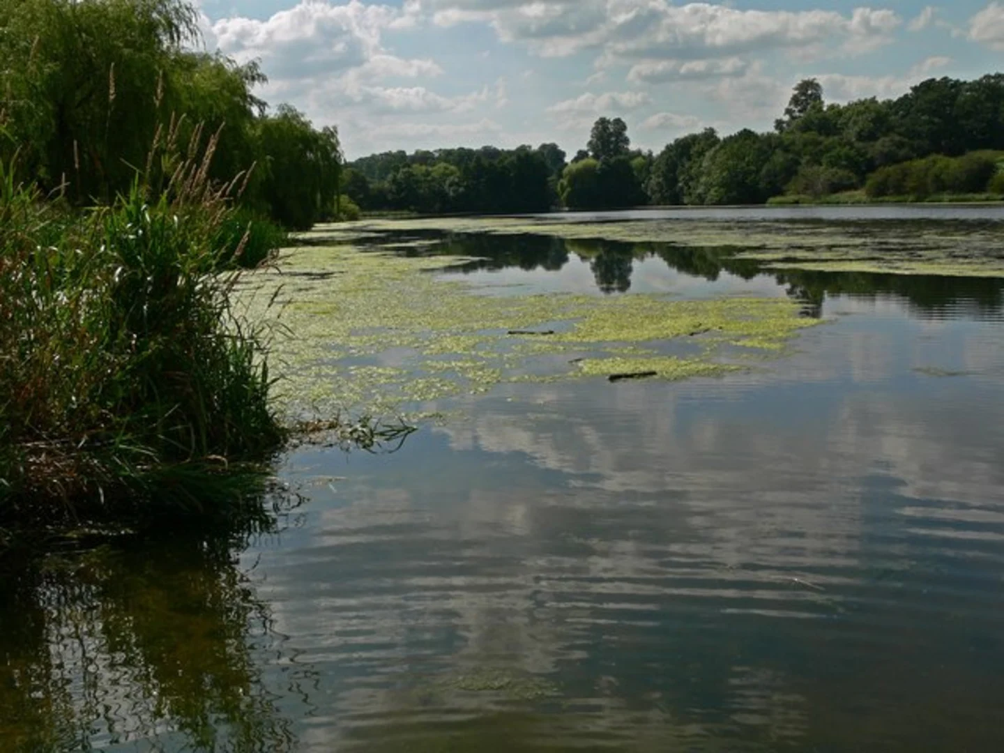 An image depicting the trail Broadstone Holt and Calke Park National Nature Reserve Loop and its surrounding area.