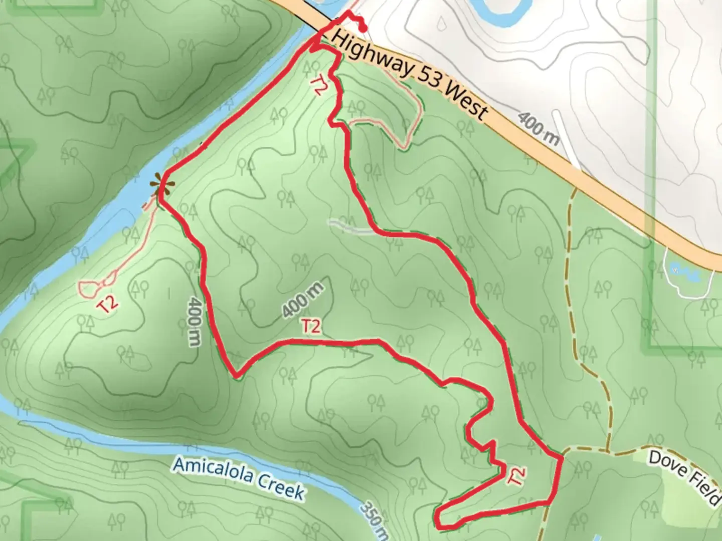 An image depicting the trail Amicalola Creek Boardwalk - Amicalola Interpretive Loop and its surrounding area.
