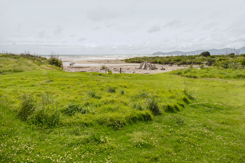 Whareroa - Forest Loop Walk