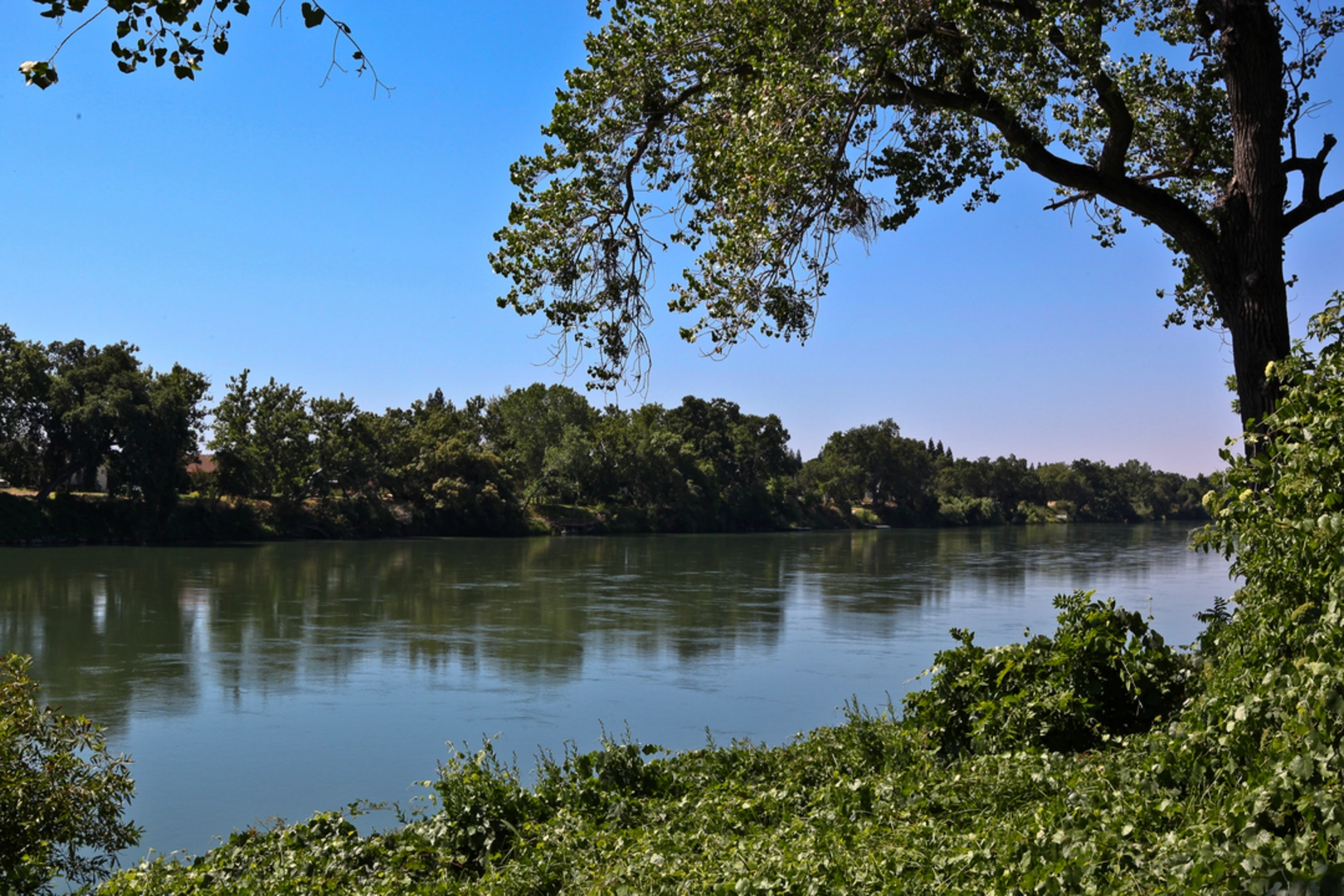 An image depicting the trail Red Bluff Nature Trail and its surrounding area.