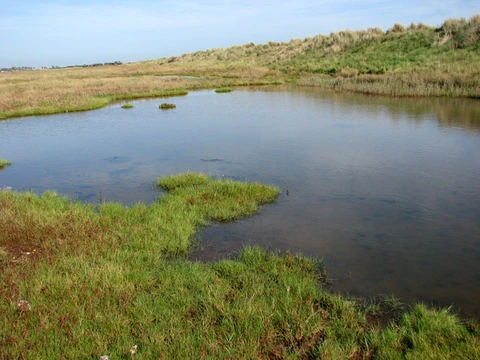 An image depicting the trail Suffolk Coast National Nature Reserve Walk and its surrounding area.