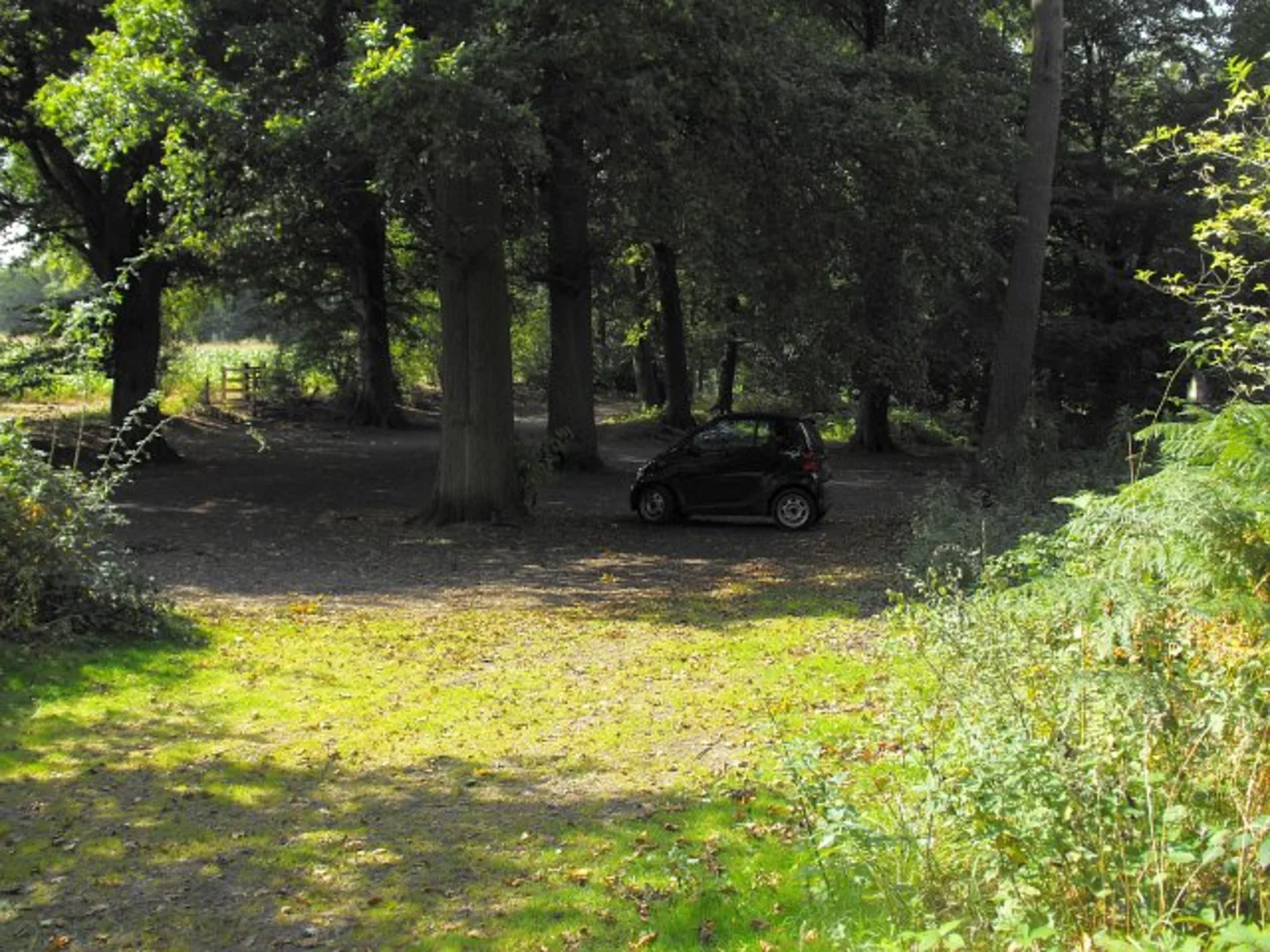 An image depicting the trail Nesscliffe Hill Country Park and The Cliffe Loop and its surrounding area.