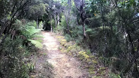 Middle Ridge Track