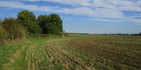An image depicting the trail Great Glen - Burton Overy and Illston and its surrounding area.