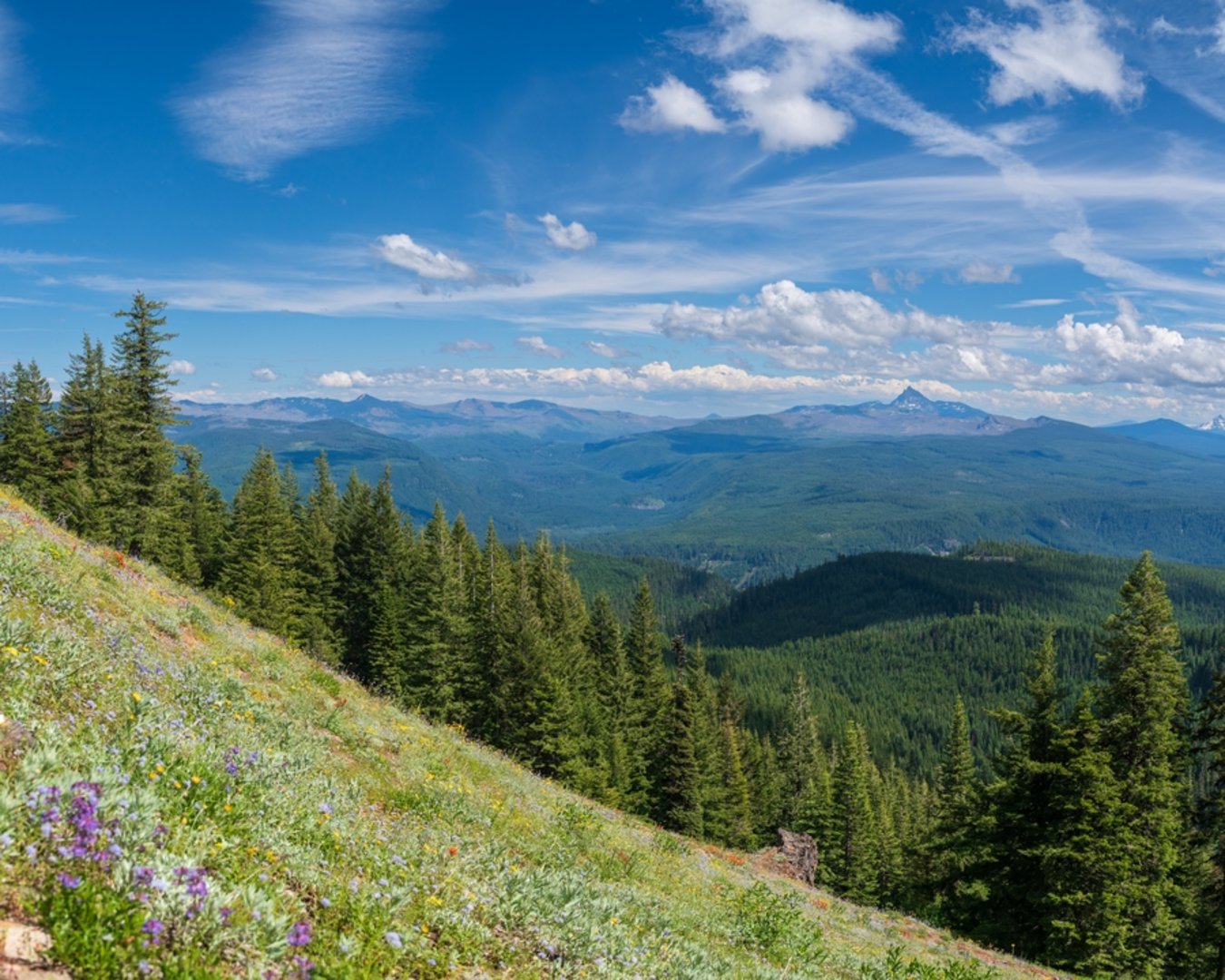 An image depicting the trail Jack Lake via Canyon Creek Meadow Loop Trail and its surrounding area.