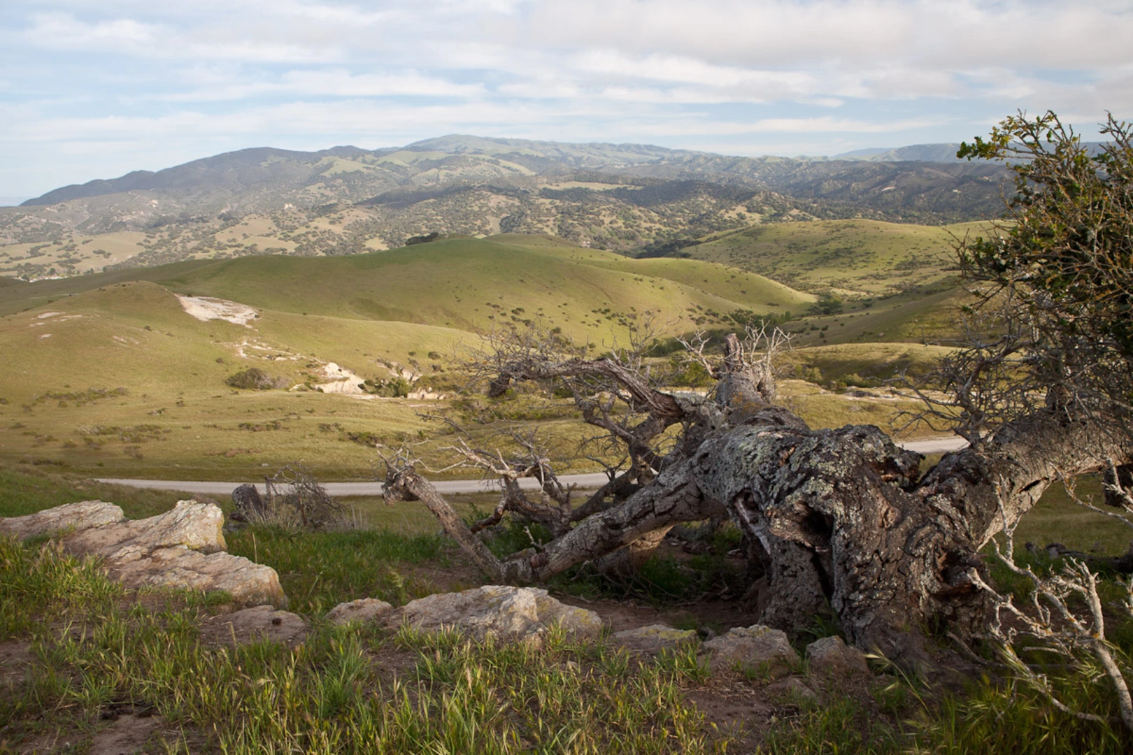 An image depicting the trail Guidotti Road and El Toro Creek Loop and its surrounding area.