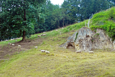 Vaalserberg to Amby via Malensbosch, Kruisbosch and Bemelerberg