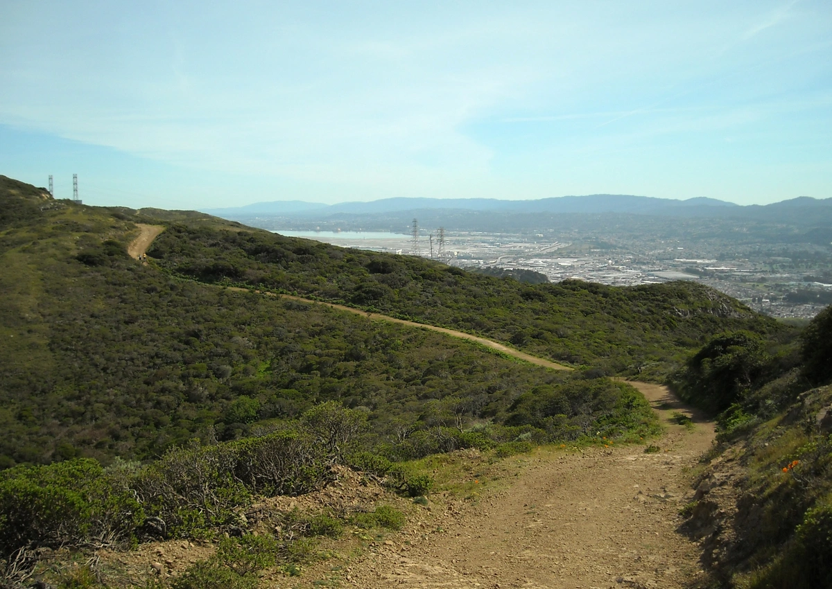 Bog and Saddle Loop Trail