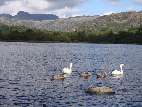 An image depicting the trail Elter Water and Great Langdale Beck Walk and its surrounding area.