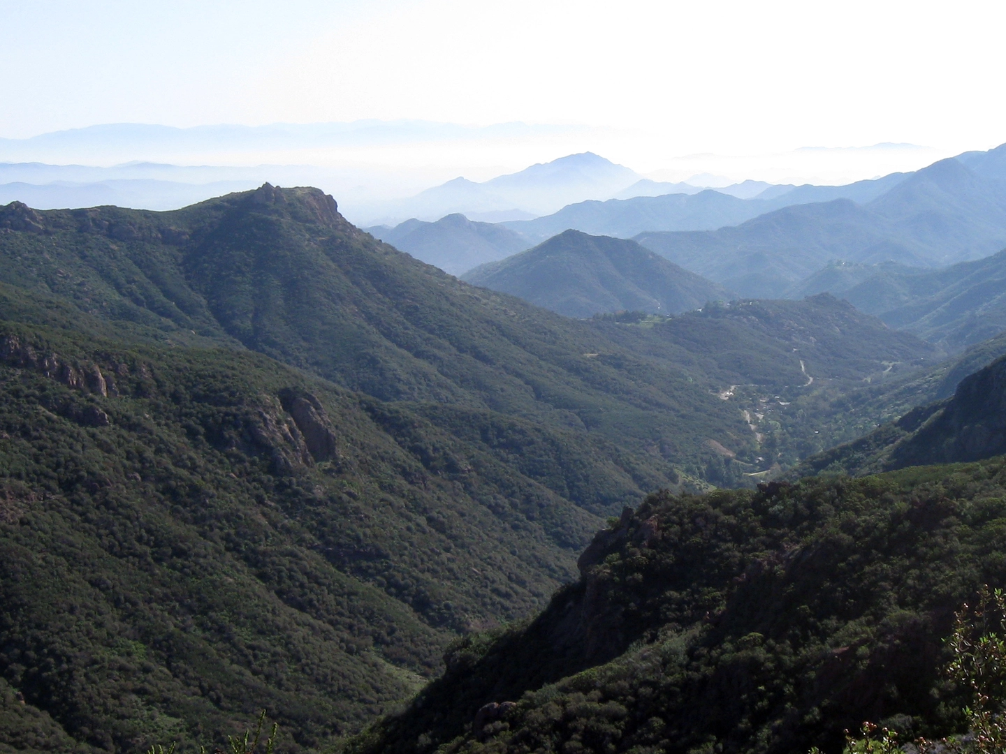 An image depicting the trail Mishe Mokwa Trail Out and Back and its surrounding area.