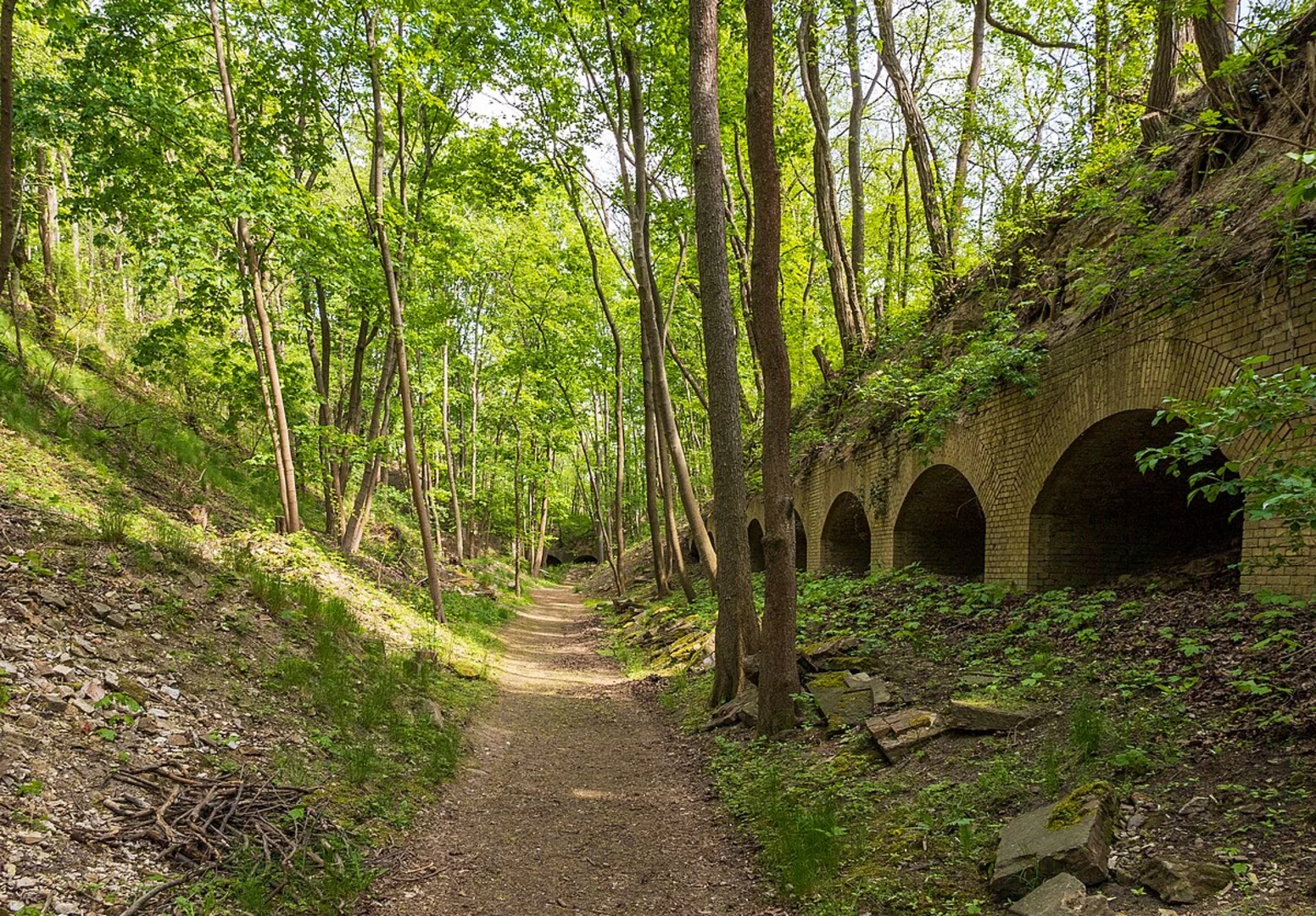 An image depicting the trail Töpferwanderweg and its surrounding area.