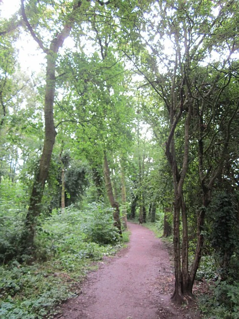 An image depicting the trail Stanney Woods Loop and its surrounding area.