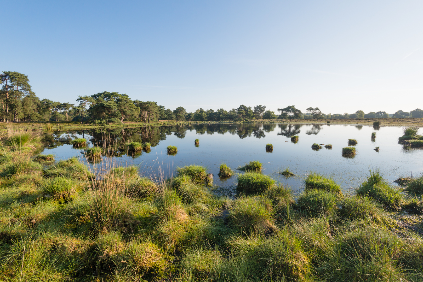 An image depicting the trail Uiversnest, Botersnijder Zuid, Roelofsven and Langeven Noord Loop and its surrounding area.