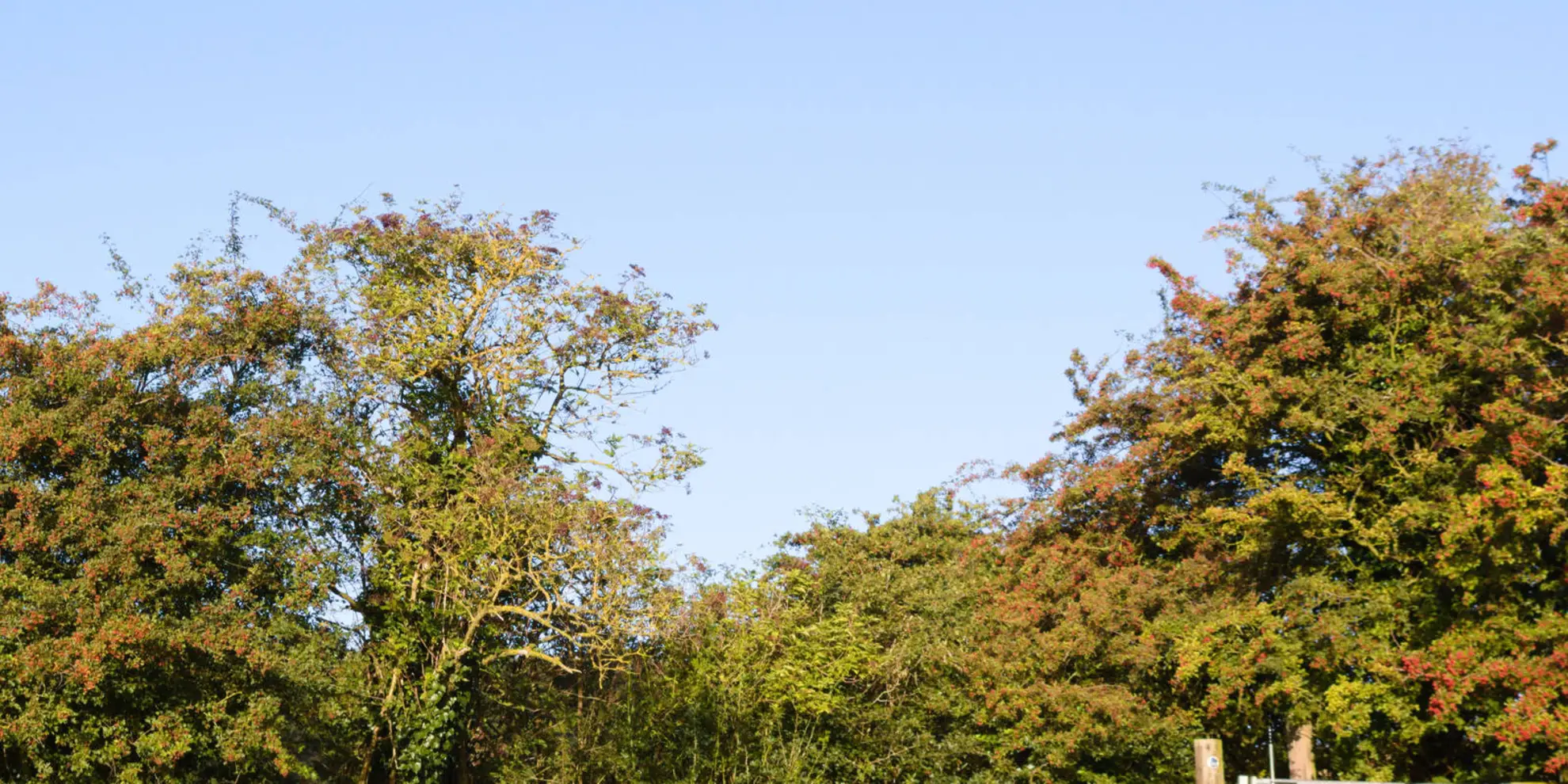 An image depicting the trail Johnson Silver Lincs Way and its surrounding area.