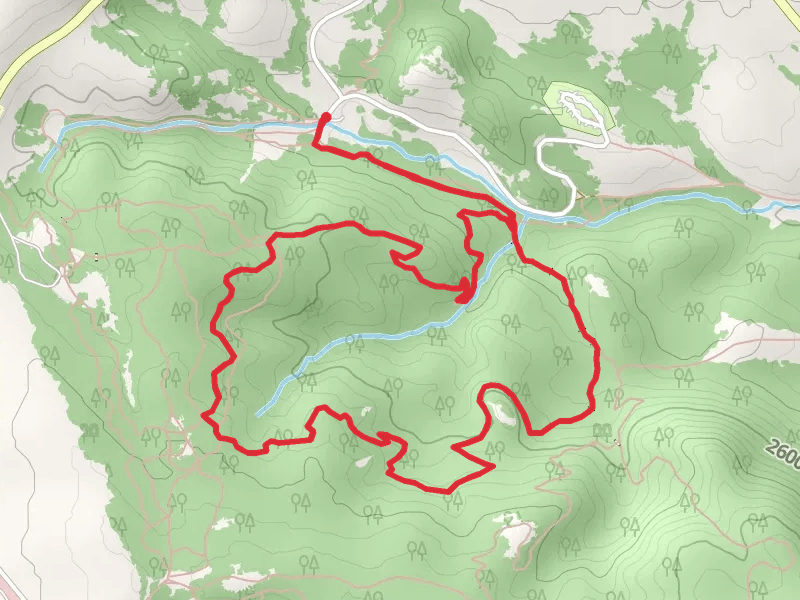 Pole Creek and Aspen Loop Trail