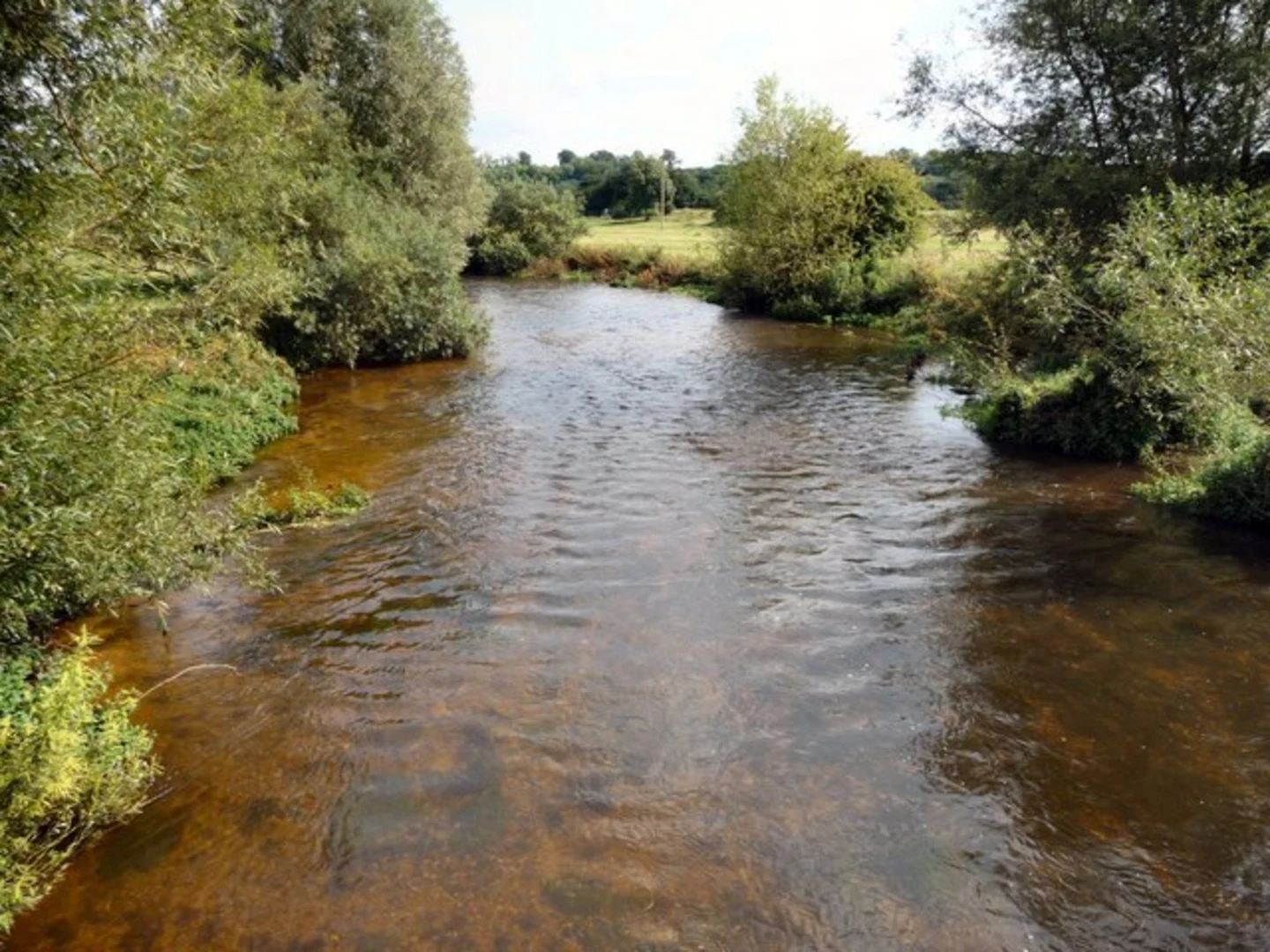 An image depicting the trail Amesbury River Walk and its surrounding area.