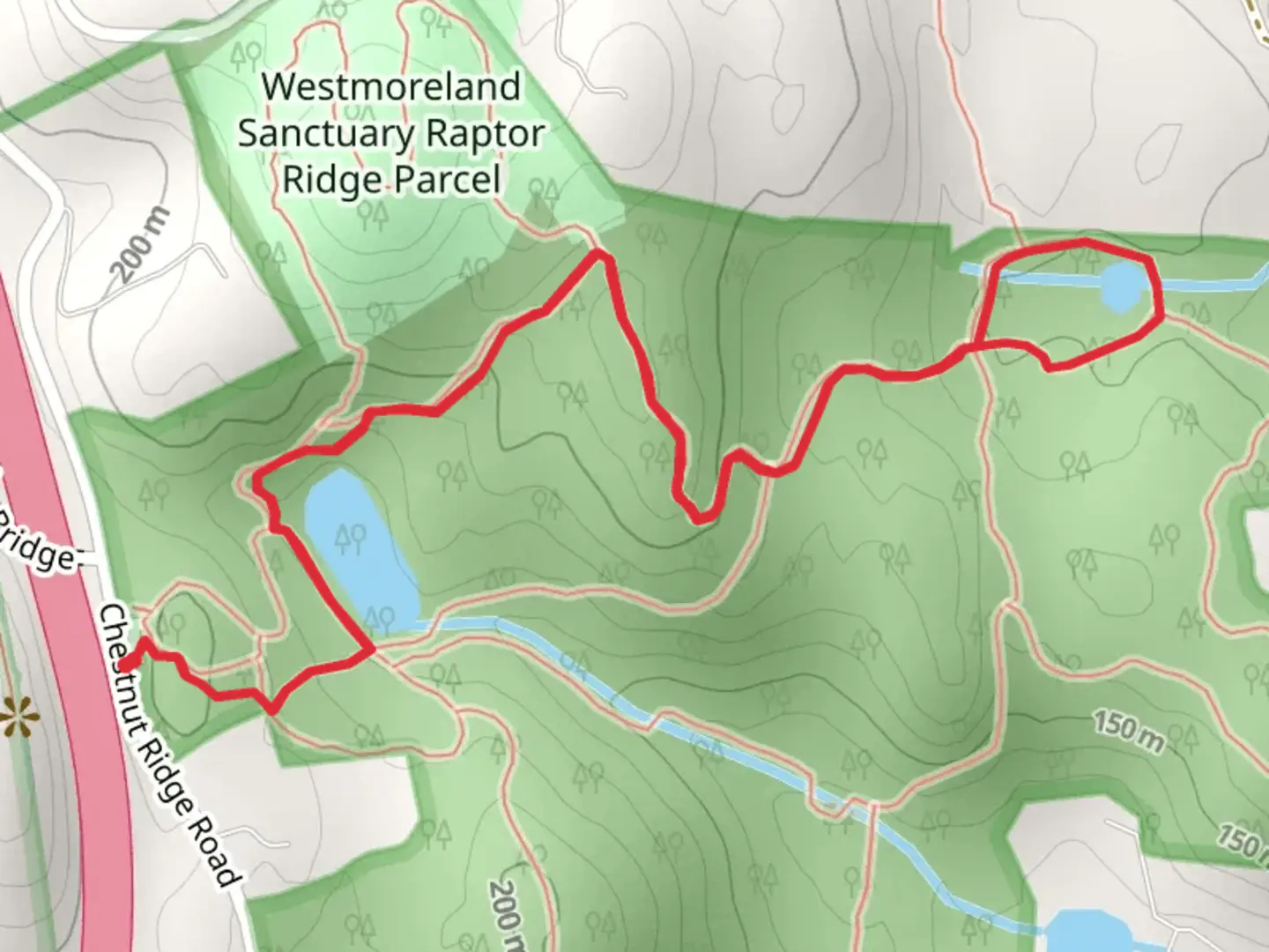 An image depicting the trail Lost Pond from Chestnut Ridge Road and its surrounding area.