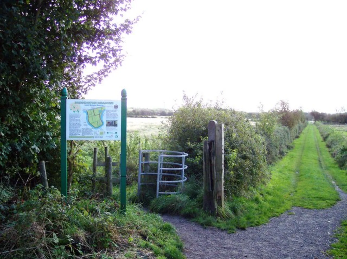 An image depicting the trail Paddington Meadows Loop and its surrounding area.