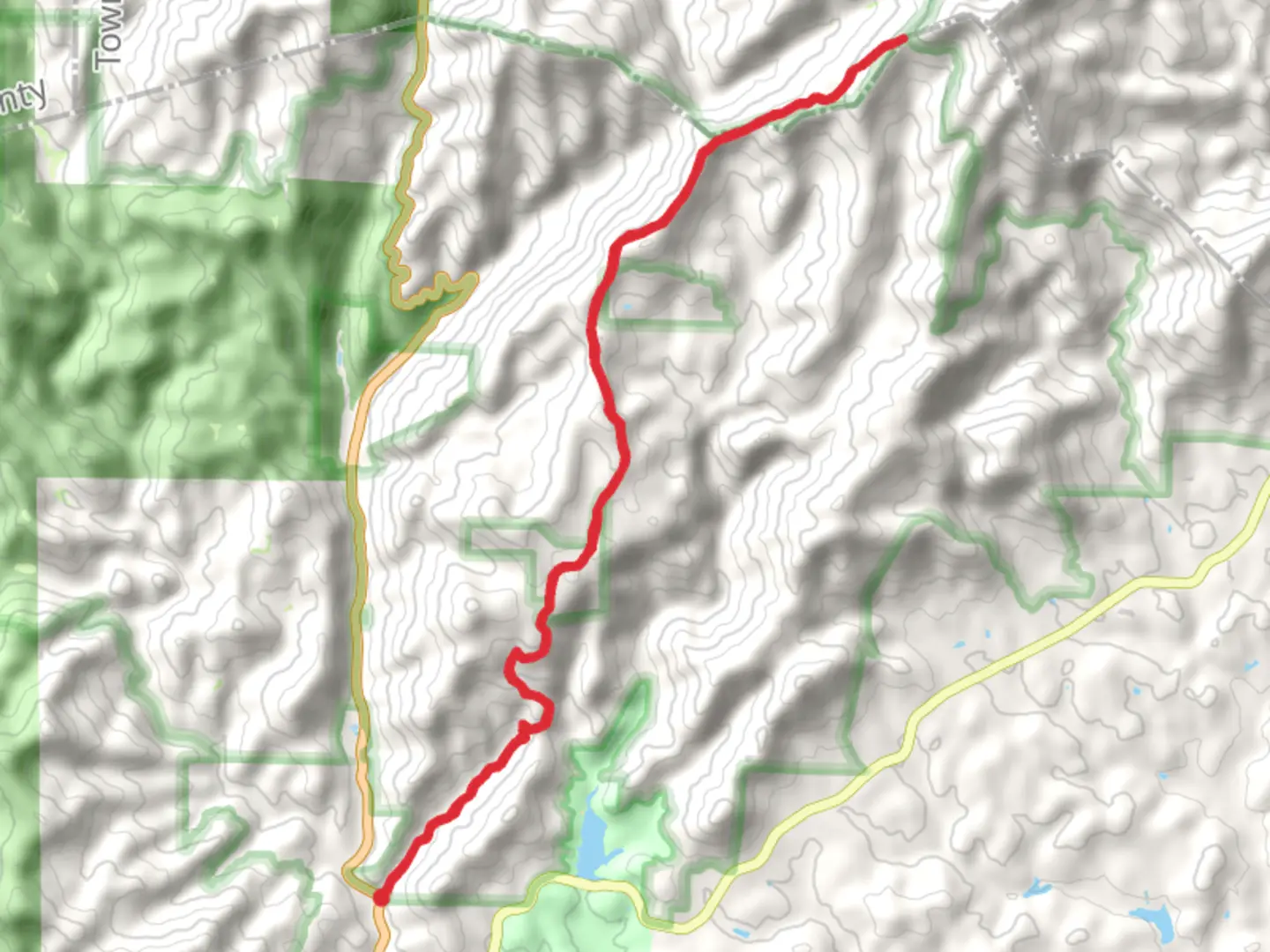 An image depicting the trail Tray Mountain Road and its surrounding area.