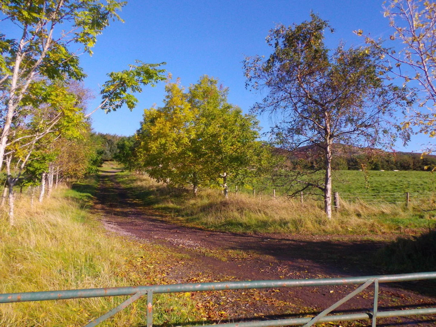 An image depicting the trail Sidlaws View Loop Trail and its surrounding area.