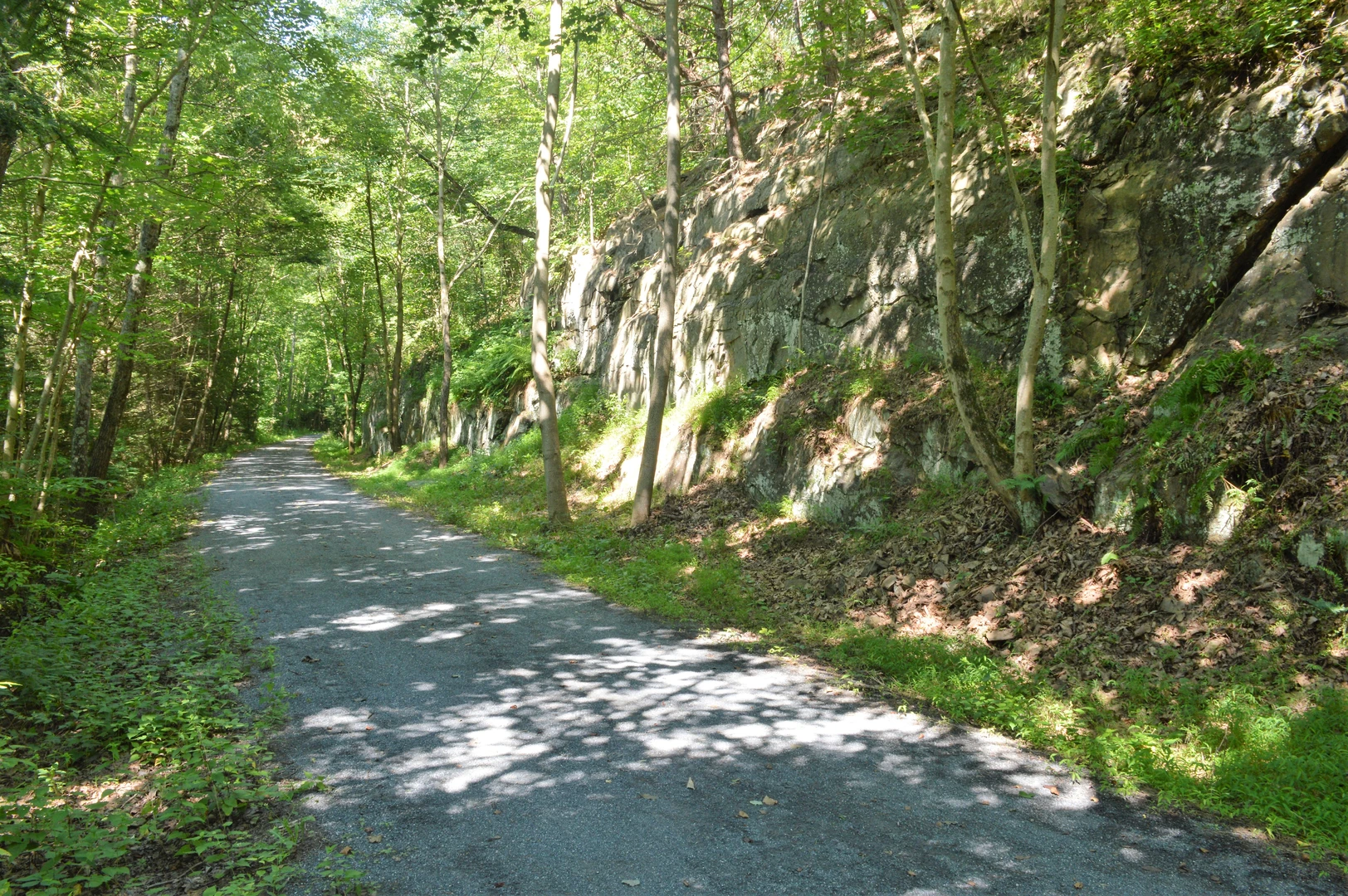 An image depicting the trail Swatara Creek and its surrounding area.