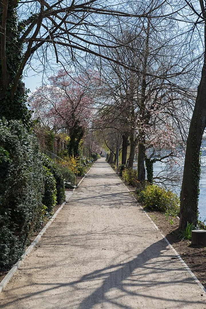 An image depicting the trail Neckar via Odenwald Vogesen Weg and Leinpfad and its surrounding area.