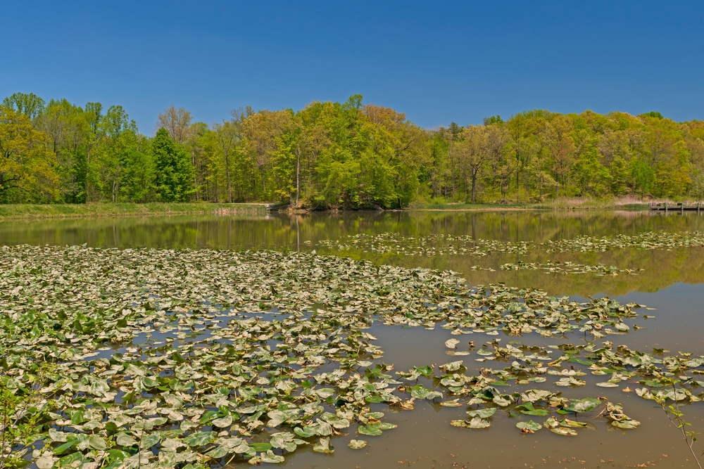 An image depicting the trail Cuyahoga Valley National Park and its surrounding area.