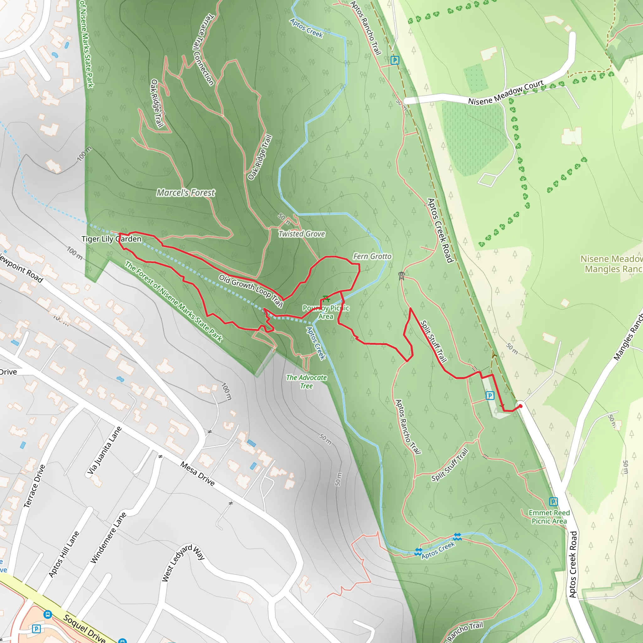 Old Growth Loop via Split Stuff Trail mobile static map