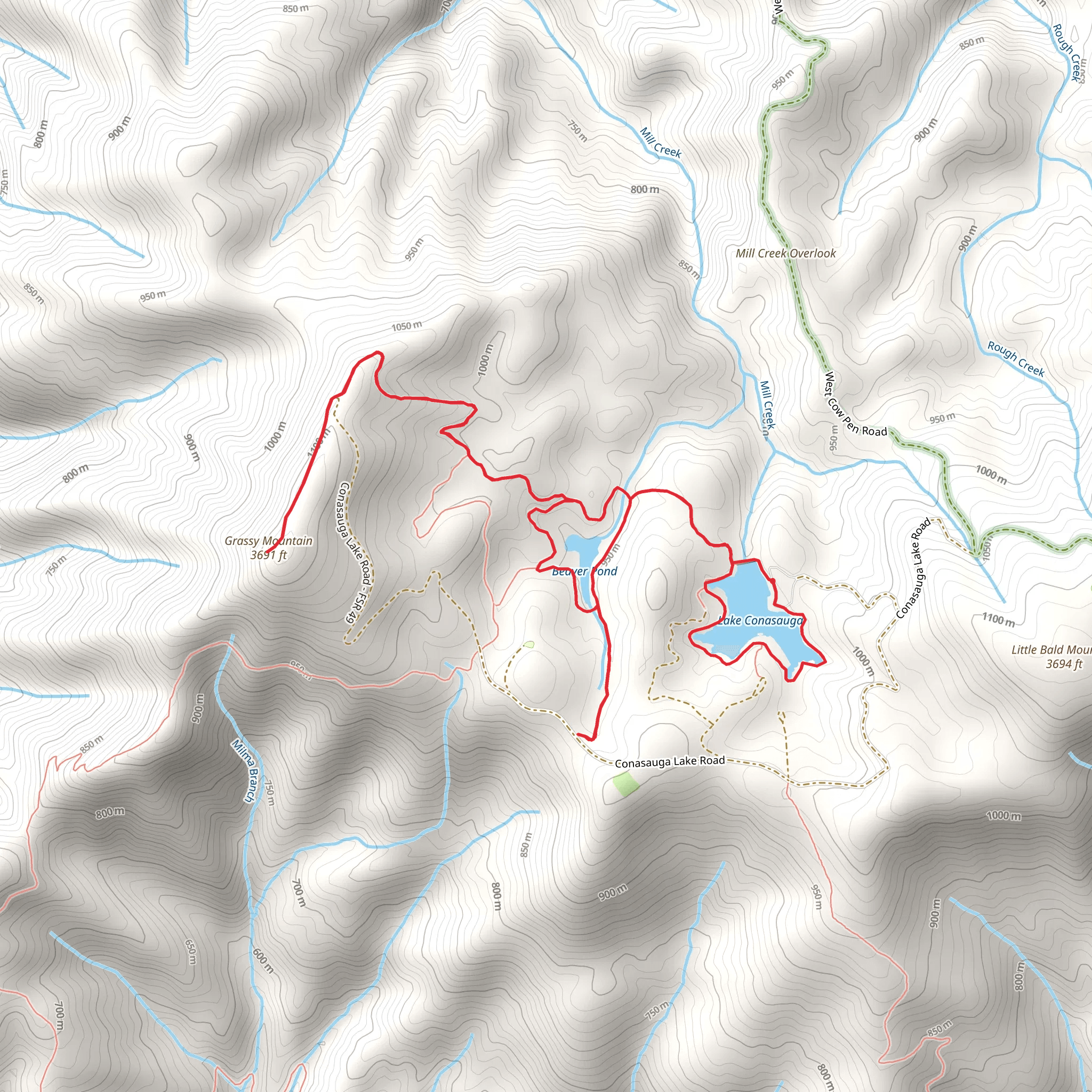 Lake Conasauga, Grassy Mountain and Beaver Pond Loop mobile static map