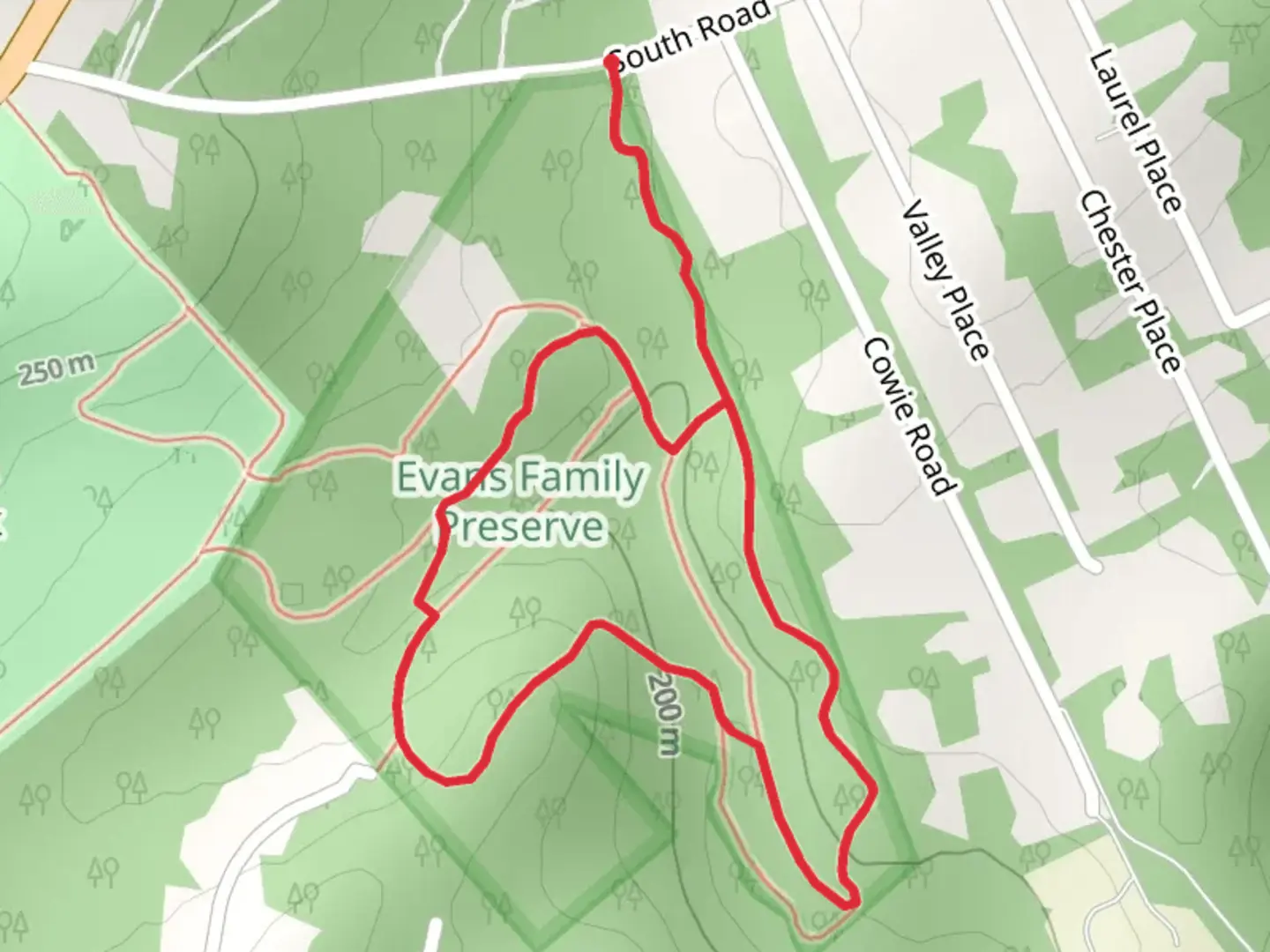 An image depicting the trail South Road Loop and its surrounding area.