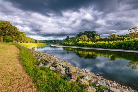 Manawatu River Track