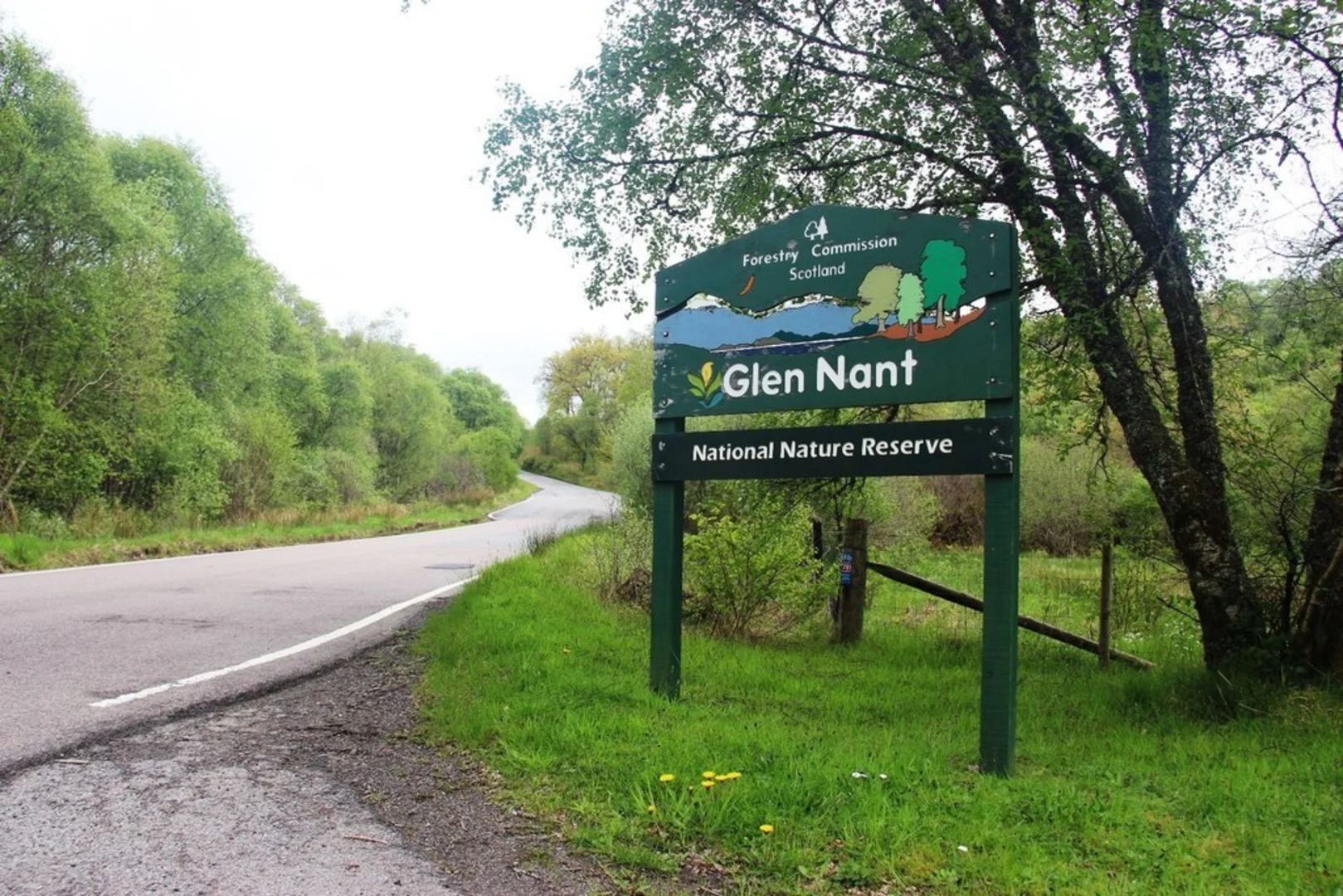 An image depicting the trail Ant Hill Loop - Glen Nant National Reserve and its surrounding area.