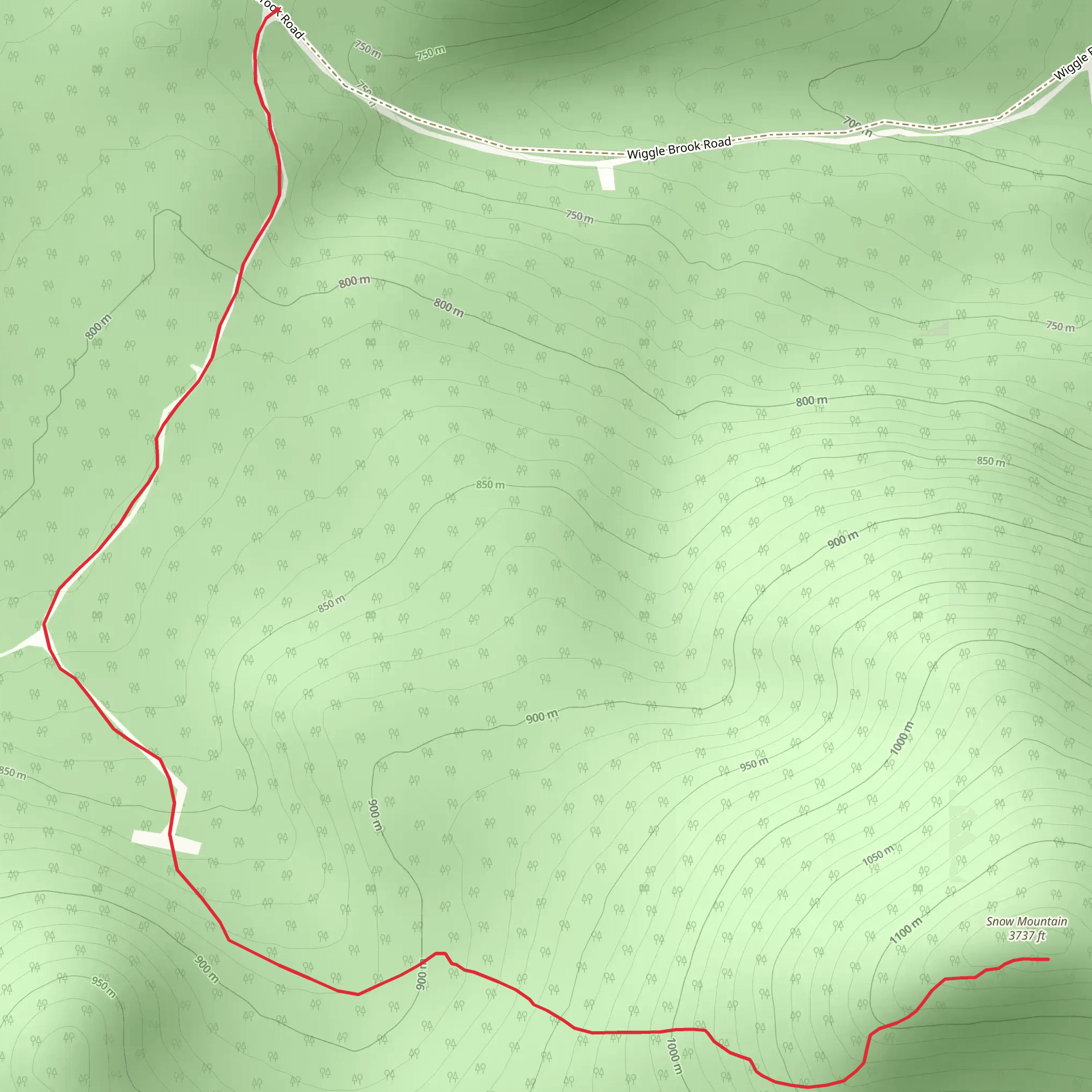 Snow Mountain from Wiggle Brook Road mobile static map