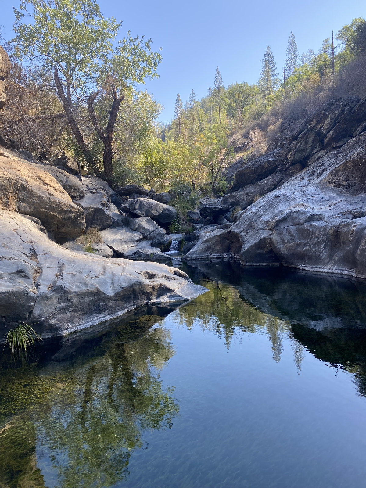 Merced River and North Fork Merced River Trail