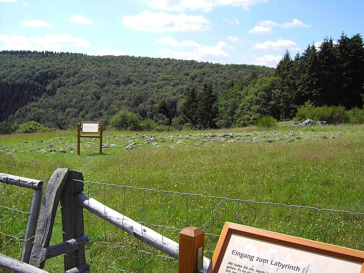 An image depicting the trail Labyrinth and Wuestebach via Wildnis Trail and its surrounding area.