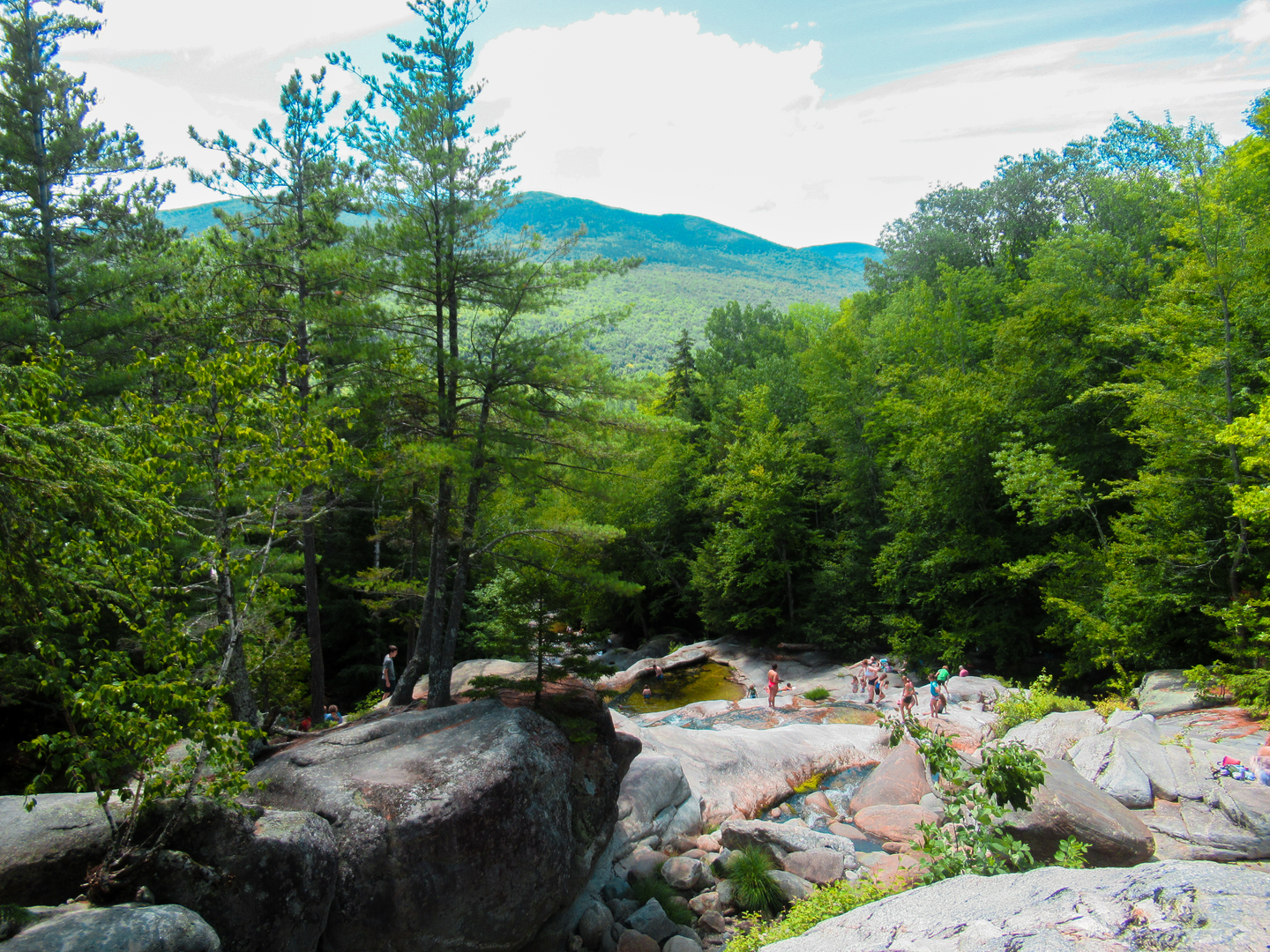 An image depicting the trail Grafton Notch and its surrounding area.