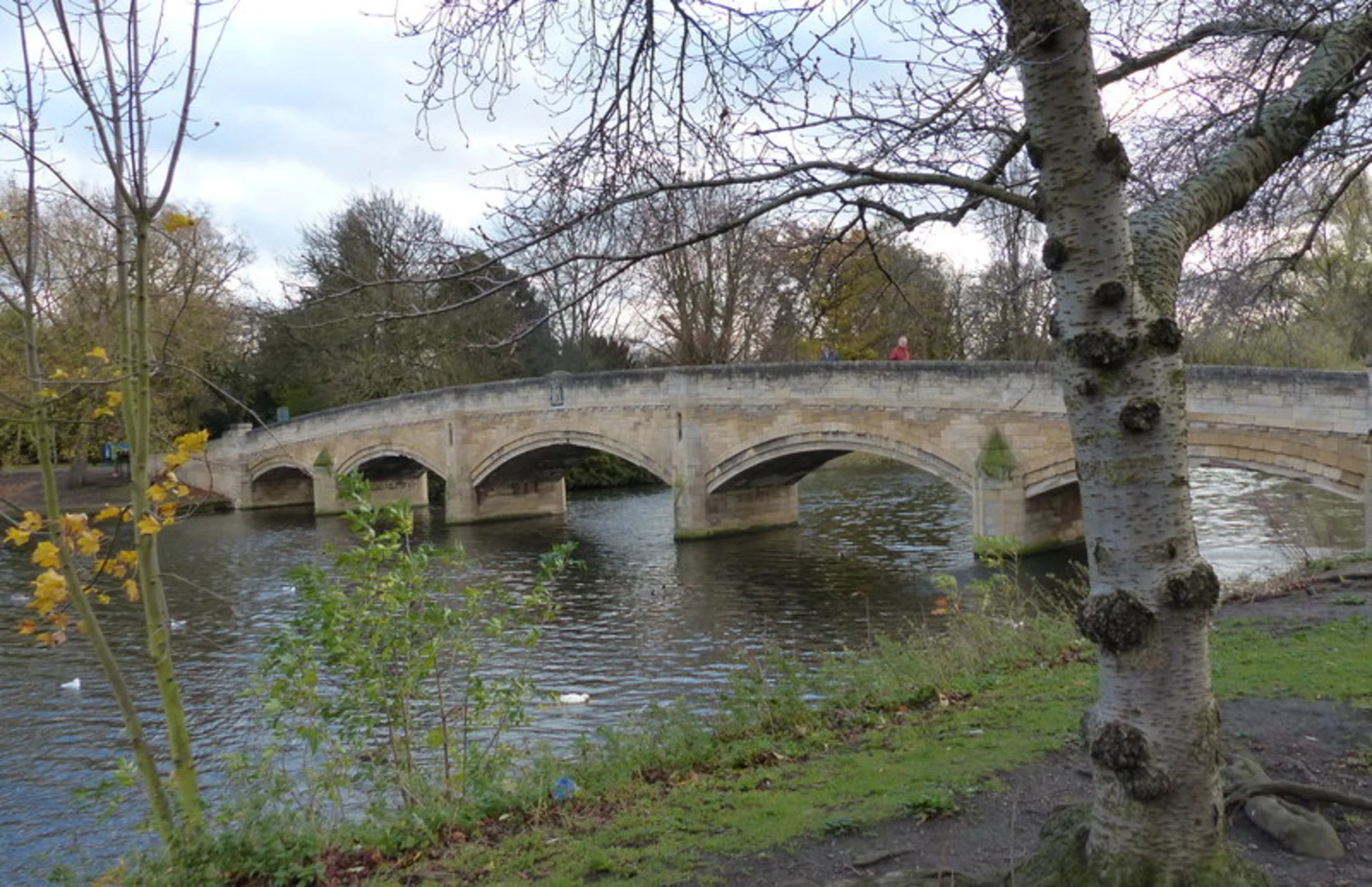 An image depicting the trail Abbey Park Loop and its surrounding area.